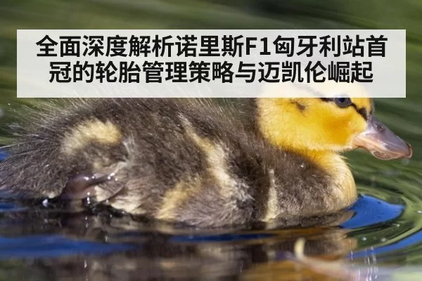 全面深度解析诺里斯F1匈牙利站首冠的轮胎管理策略与迈凯伦崛起